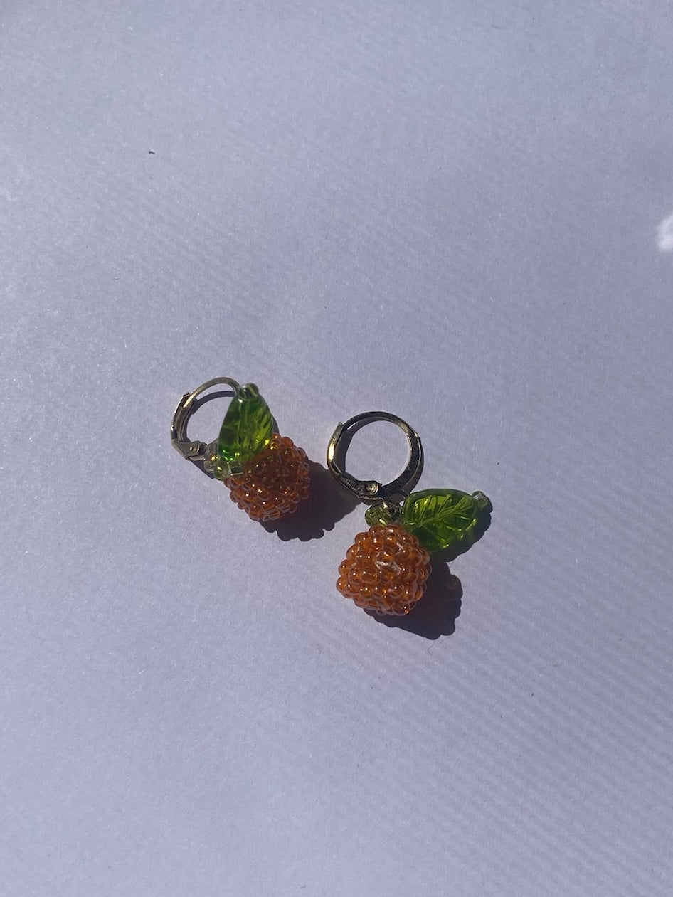 Orange Earrings